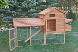 Hot Sale Tavern Chicken Coop Johannesburg Free Classifieds In